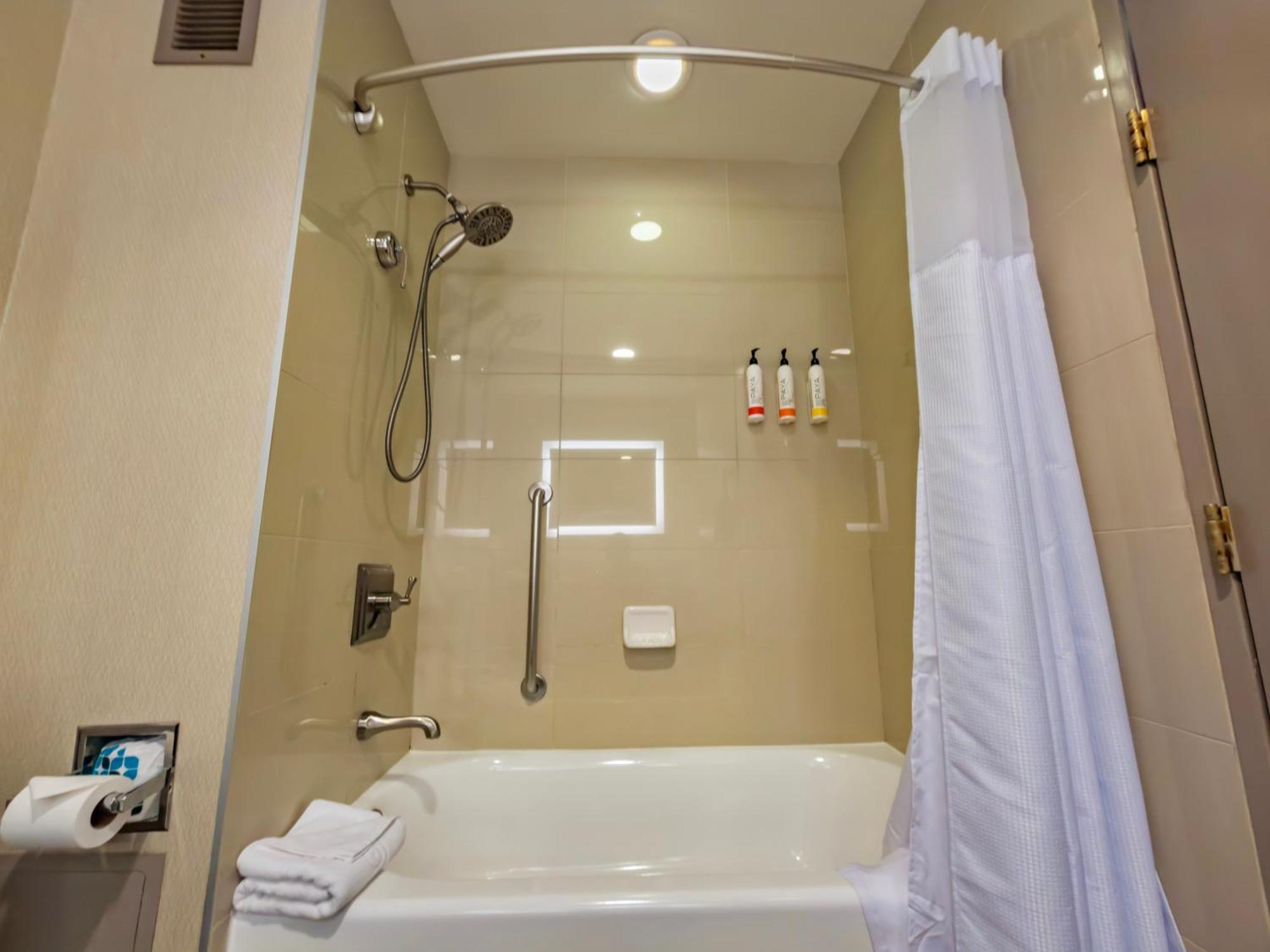 King Room Pyramid View Disability Access W or Roll Shower,1765874592:JPEG